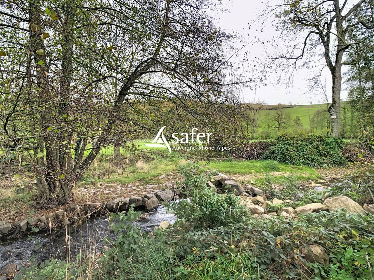 PROPRIETE BATIE SECTEUR NATUREL - ST SYMPHORIEN SUR COISE