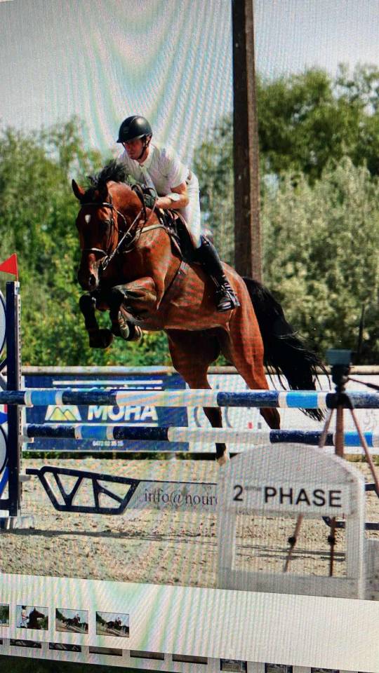 Jument 10 ans top origines 