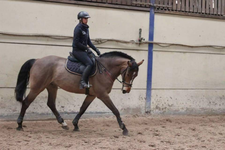 Fydel de la burdinale