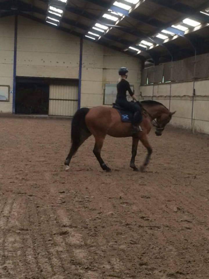 Fydel de la burdinale