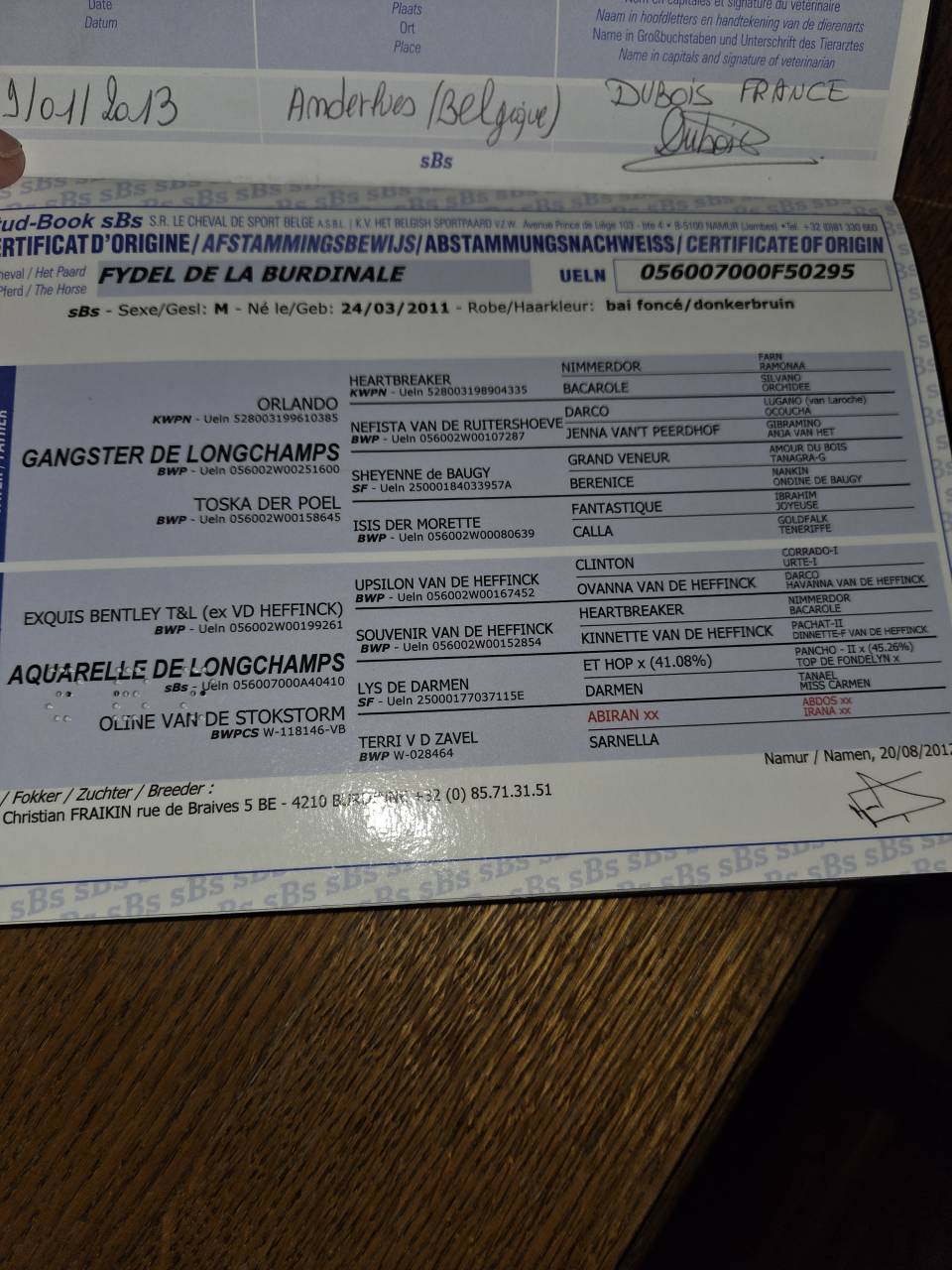 Fydel de la burdinale