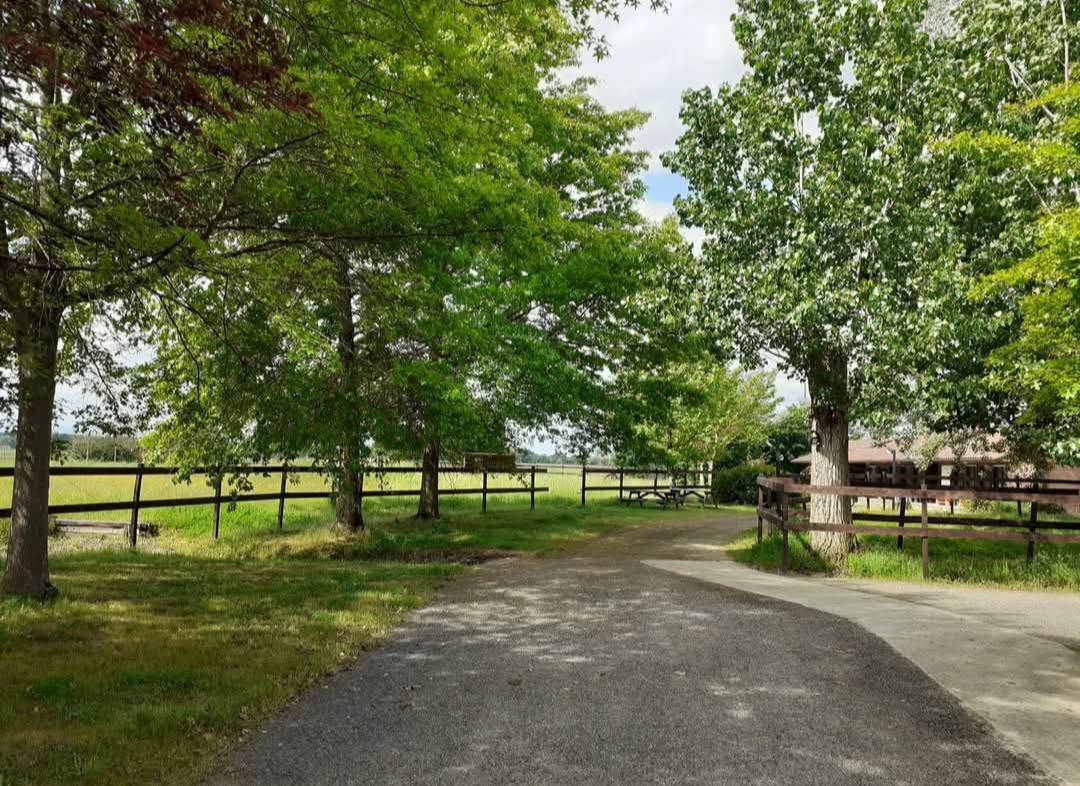 Ecurie professionnelle avec habitations cl&eacute; en main