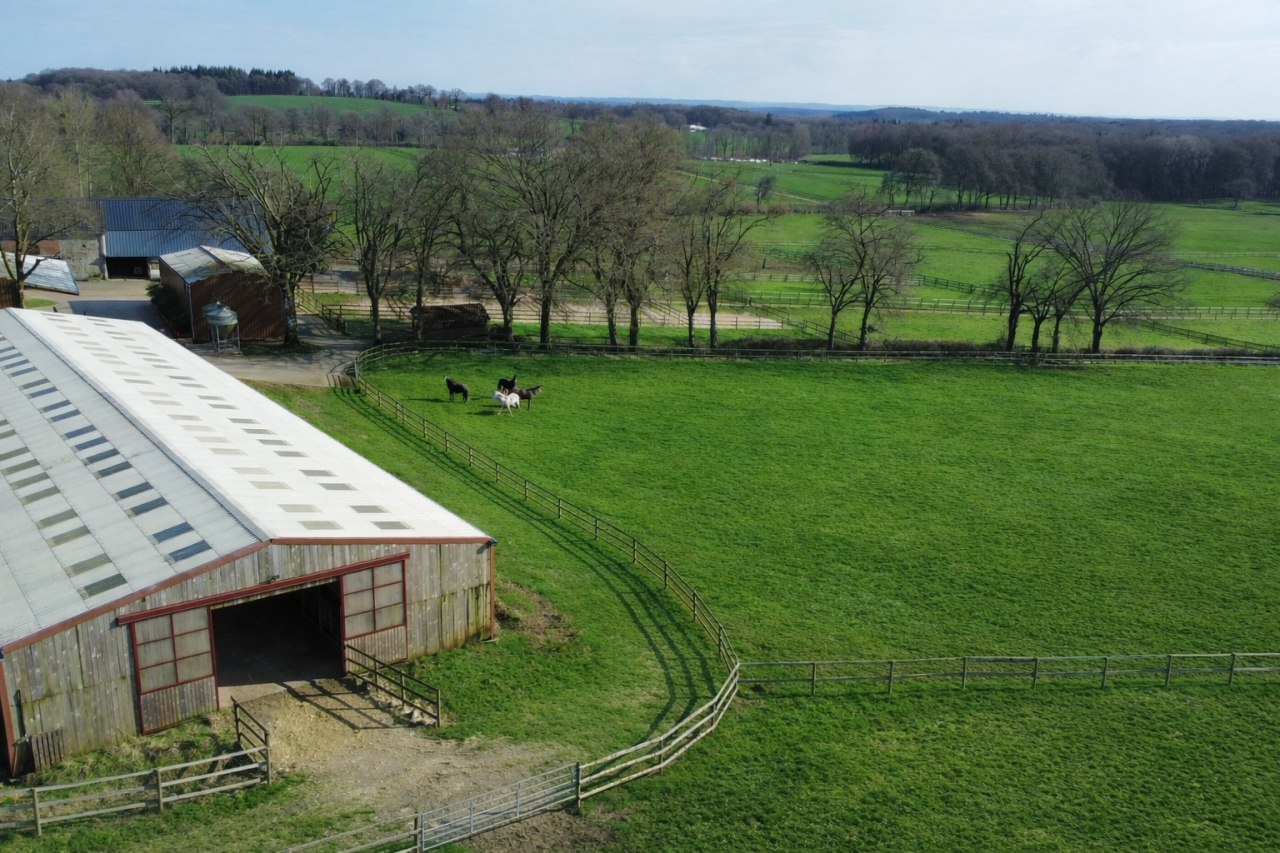 Haras d&rsquo;exception &ndash; 66 hectares, installations r&eacute;centes