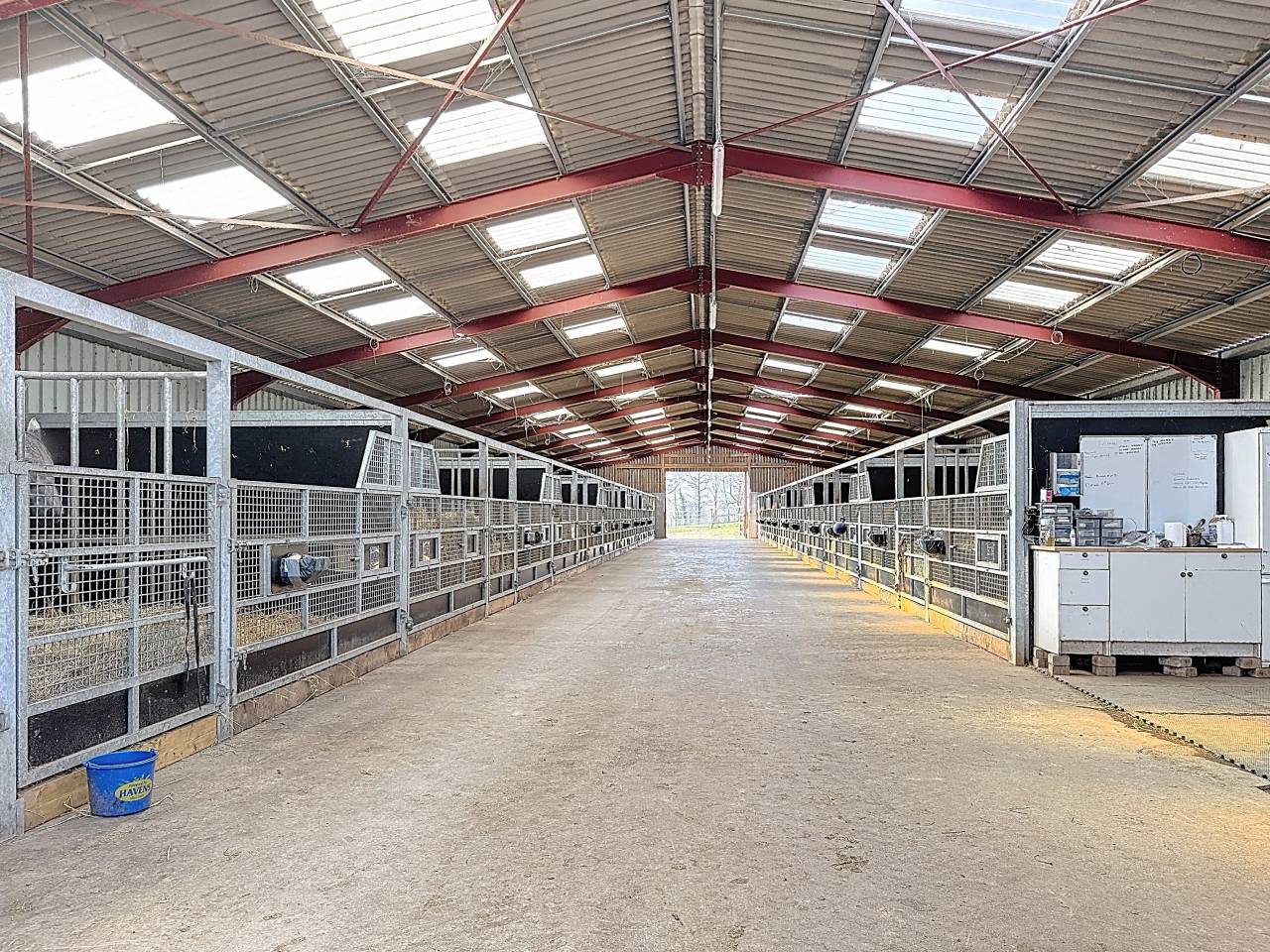 Haras d&rsquo;exception &ndash; 66 hectares, installations r&eacute;centes