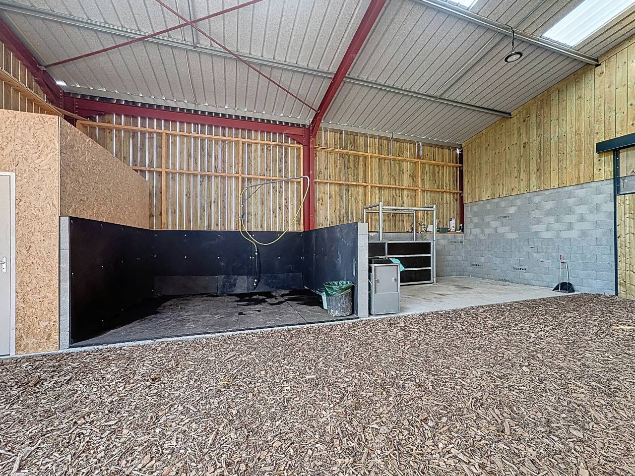 Haras d&rsquo;exception &ndash; 66 hectares, installations r&eacute;centes