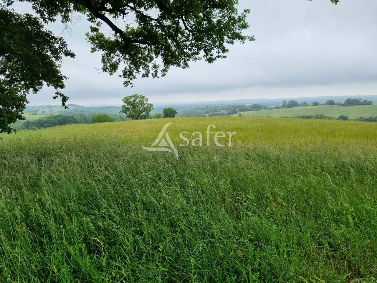 Maison d'habitation et d&eacute;pendances agricoles sur 30 hectares -