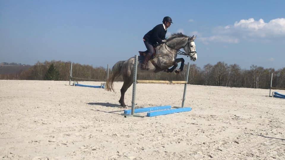 Jument BWP - Corland x Heartbreaker - Pleine Jenson van