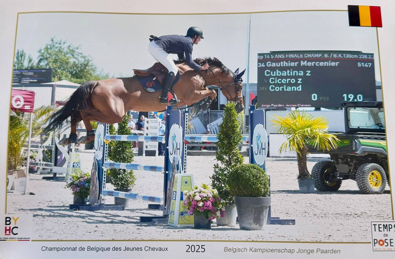 Jument BWP - Corland x Heartbreaker - Pleine Jenson van