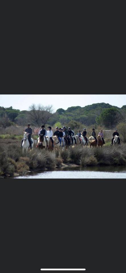 Palefrenier/responsable cherche poste log&eacute;