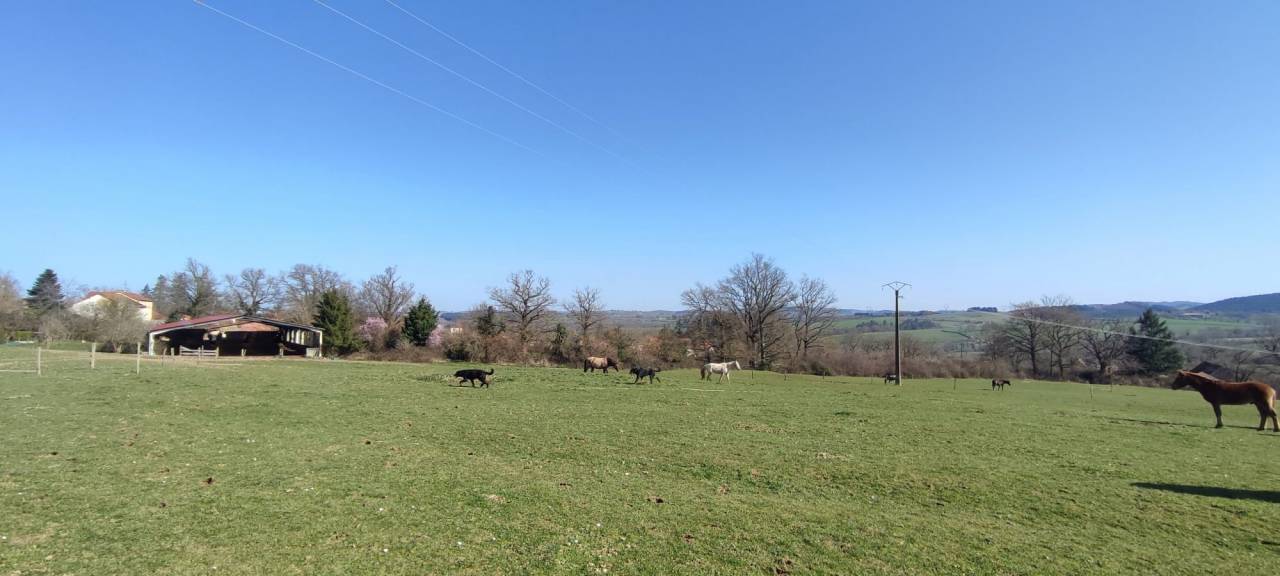 Maison &agrave; vendre Le Breuil