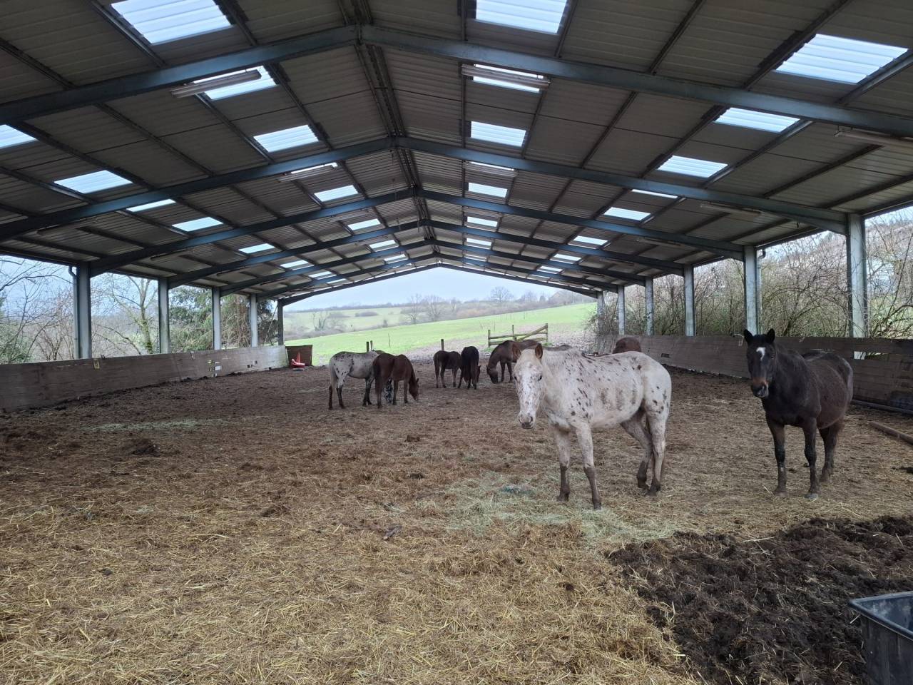 Maison &agrave; vendre Le Breuil