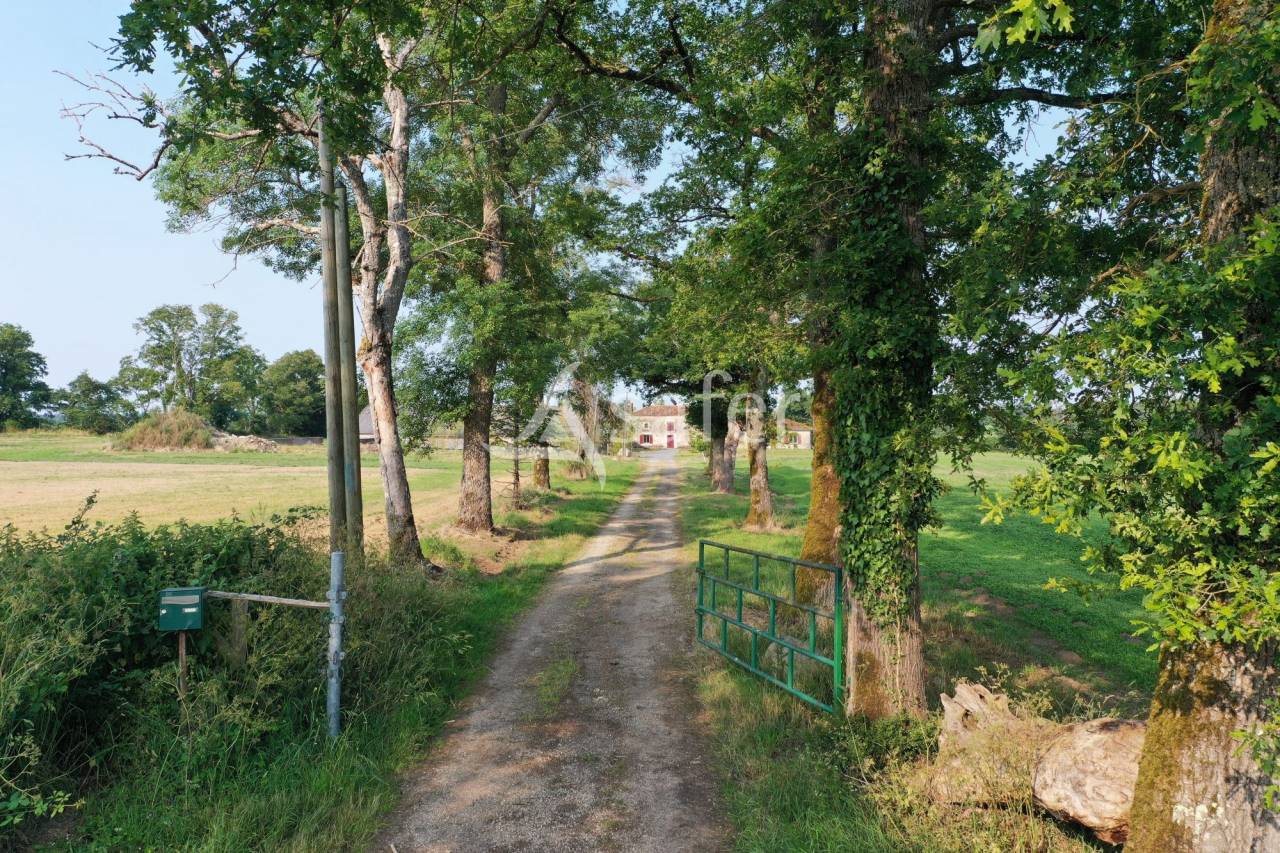 Propri&eacute;t&eacute; Rurale sur environ 6 ha