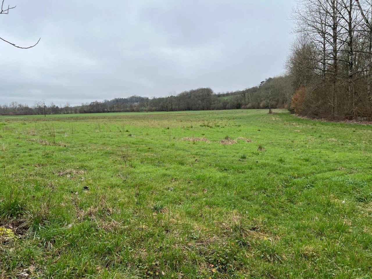 Propri&eacute;t&eacute; de caract&egrave;re avec 28 ha P&eacute;rigord Vert
