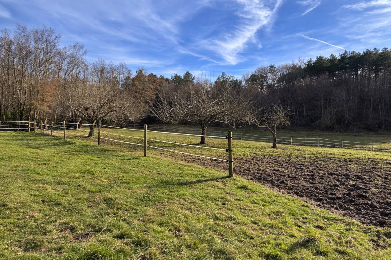 Maison avec boxes sur 1,6 hectare