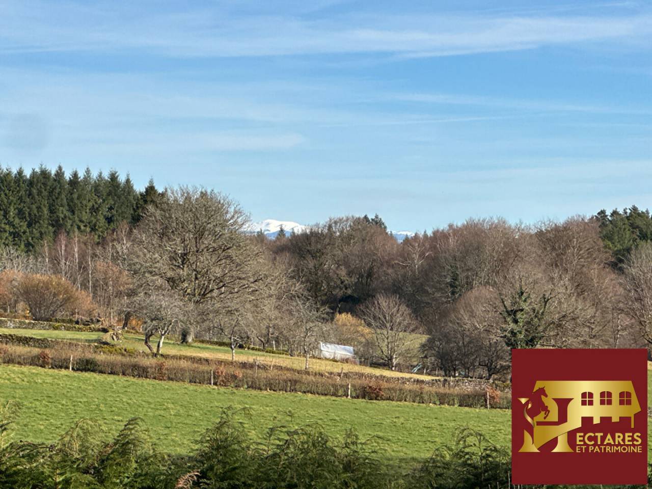 Maison avec boxes sur 1,6 hectare