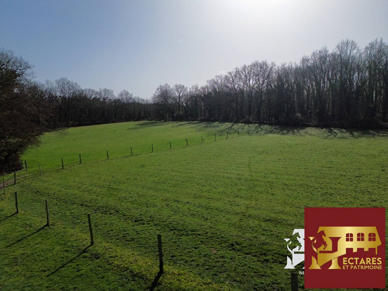 Maison Saint Sebastien Sur Loire 153 m2, 1,5 hectare en location