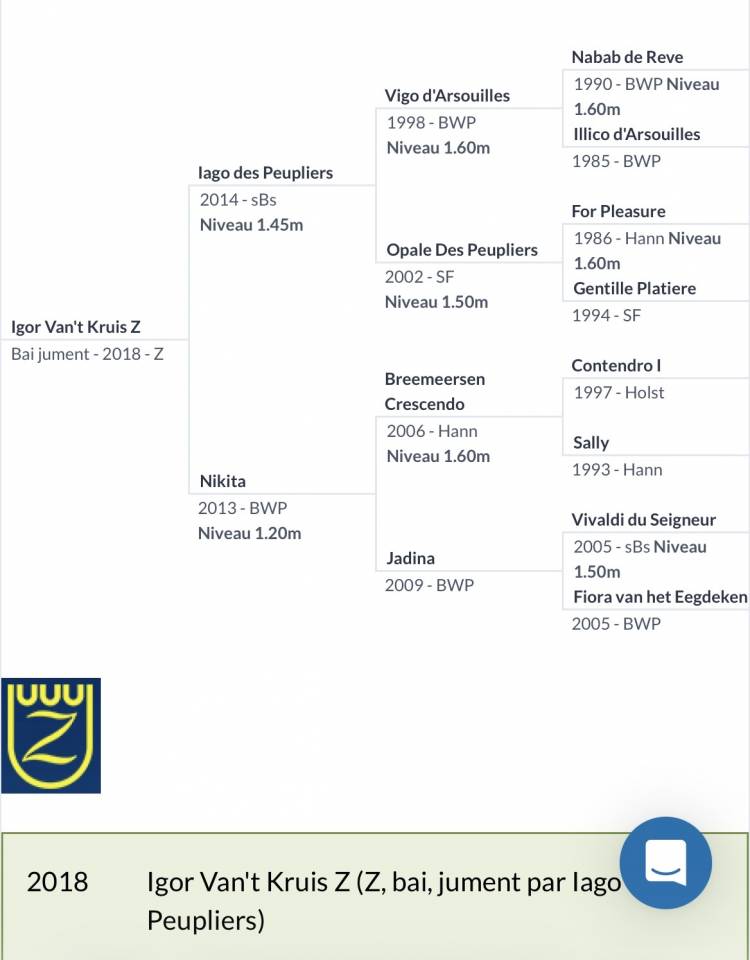 Poulini&egrave;re Zangersheide  ,8y 