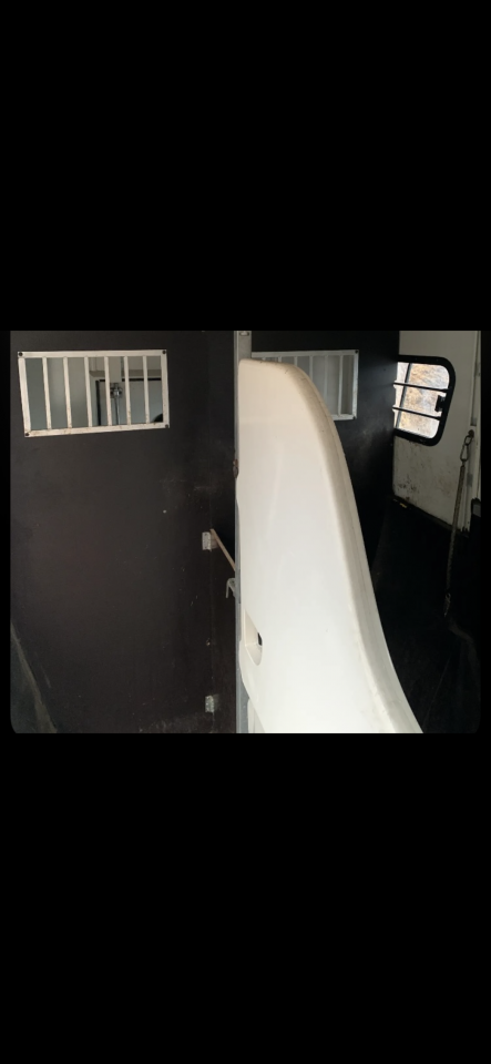 Camionnette Fiat Ducato