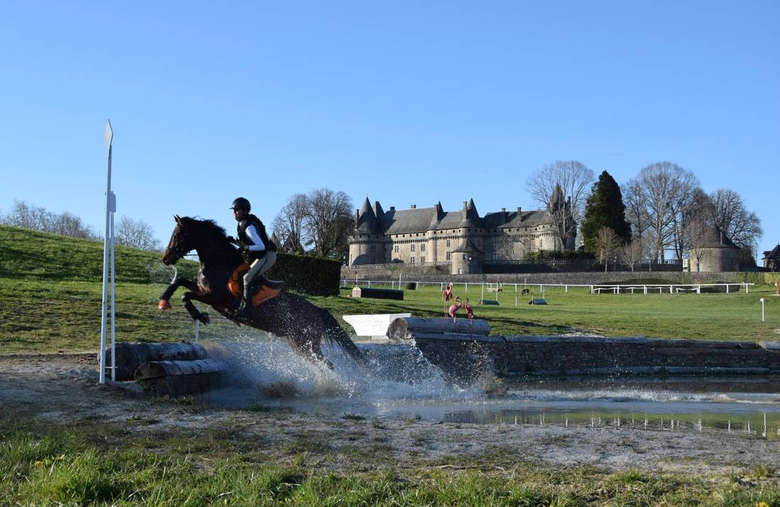 Poney de sport &agrave; vendre