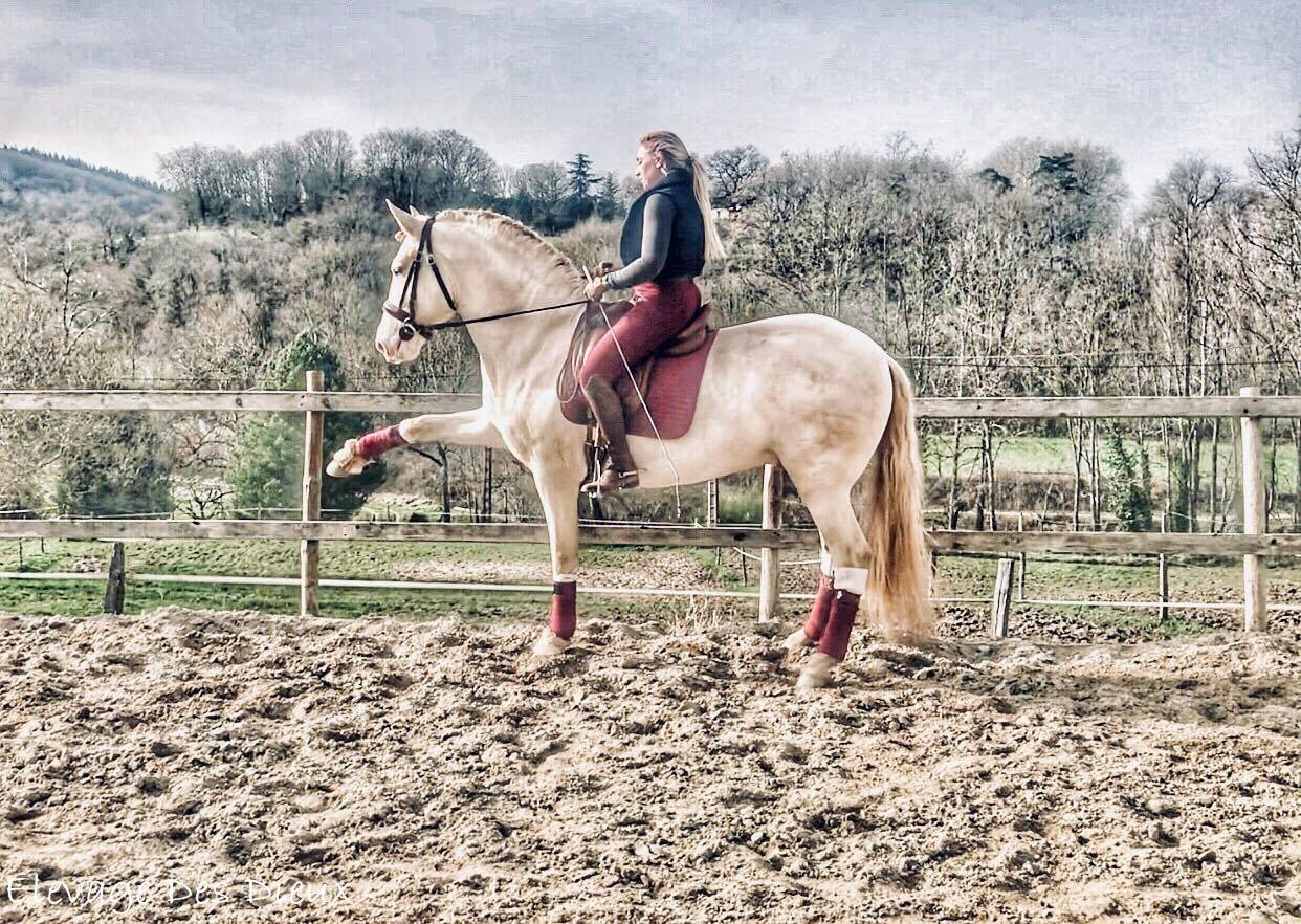 PRESIDENTE PRE 1M70 de robe cr&egrave;me 