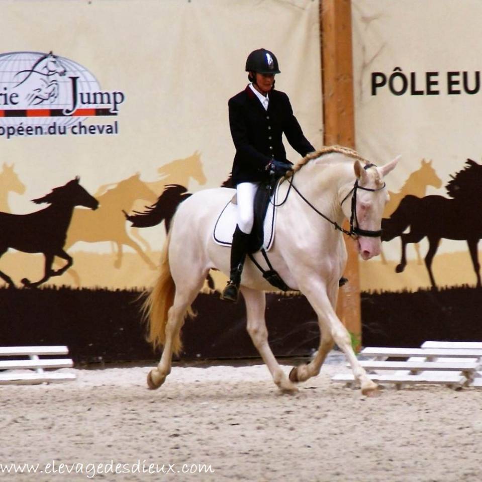 PRESIDENTE PRE 1M70 de robe cr&egrave;me 