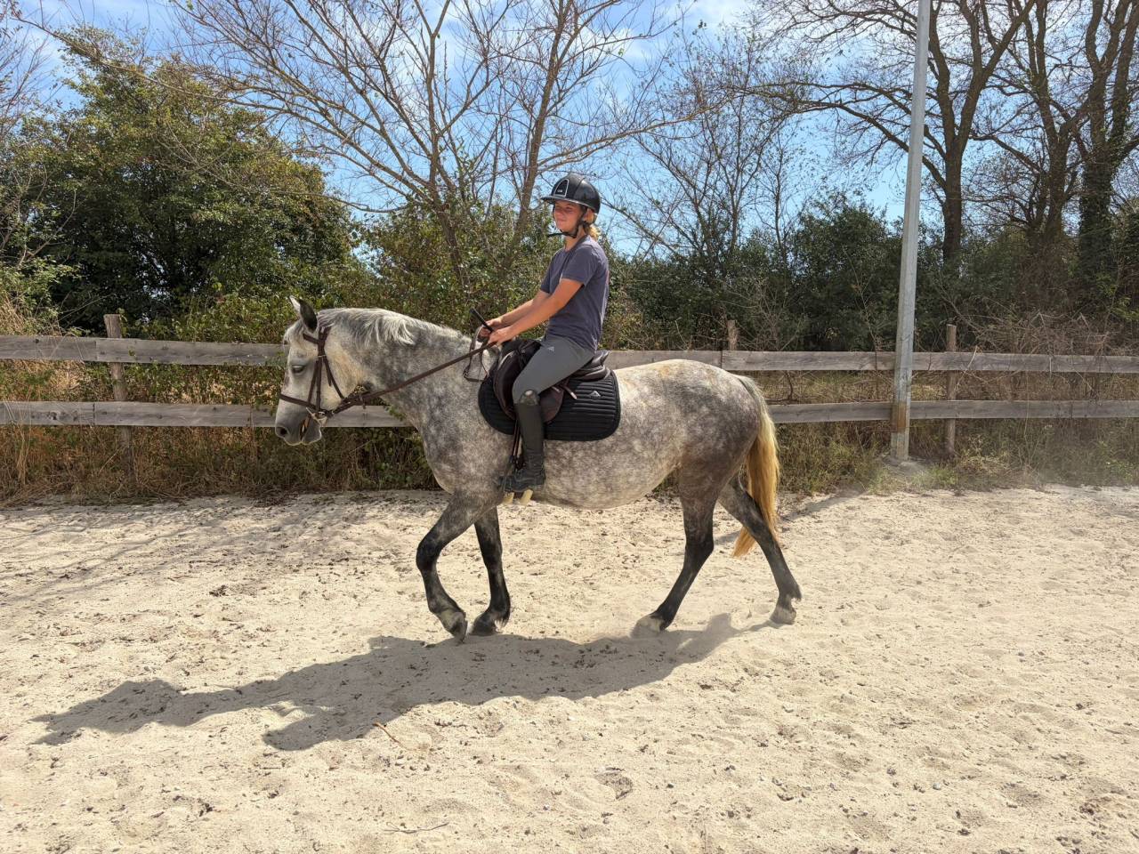 super ponette &agrave; vendre de 6 ans sortie en CSO