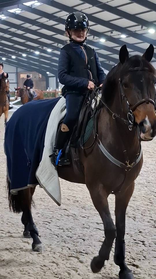 Superbe ponette new forest