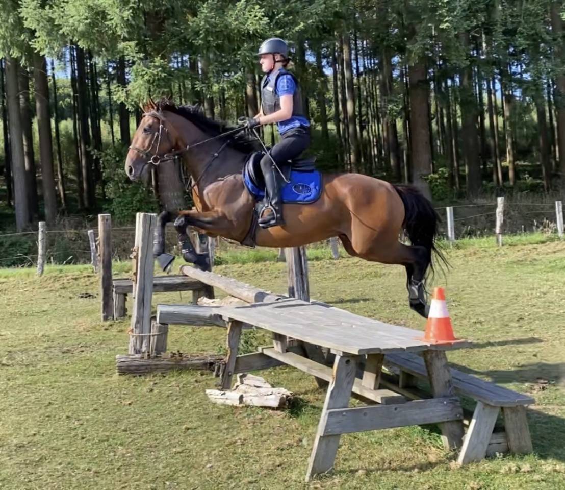 &Agrave; vendre &ndash; Silver (Un Certain Sourire)