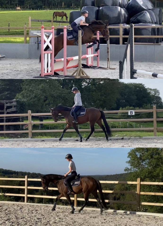 &Agrave; vendre &ndash; Silver (Un Certain Sourire)