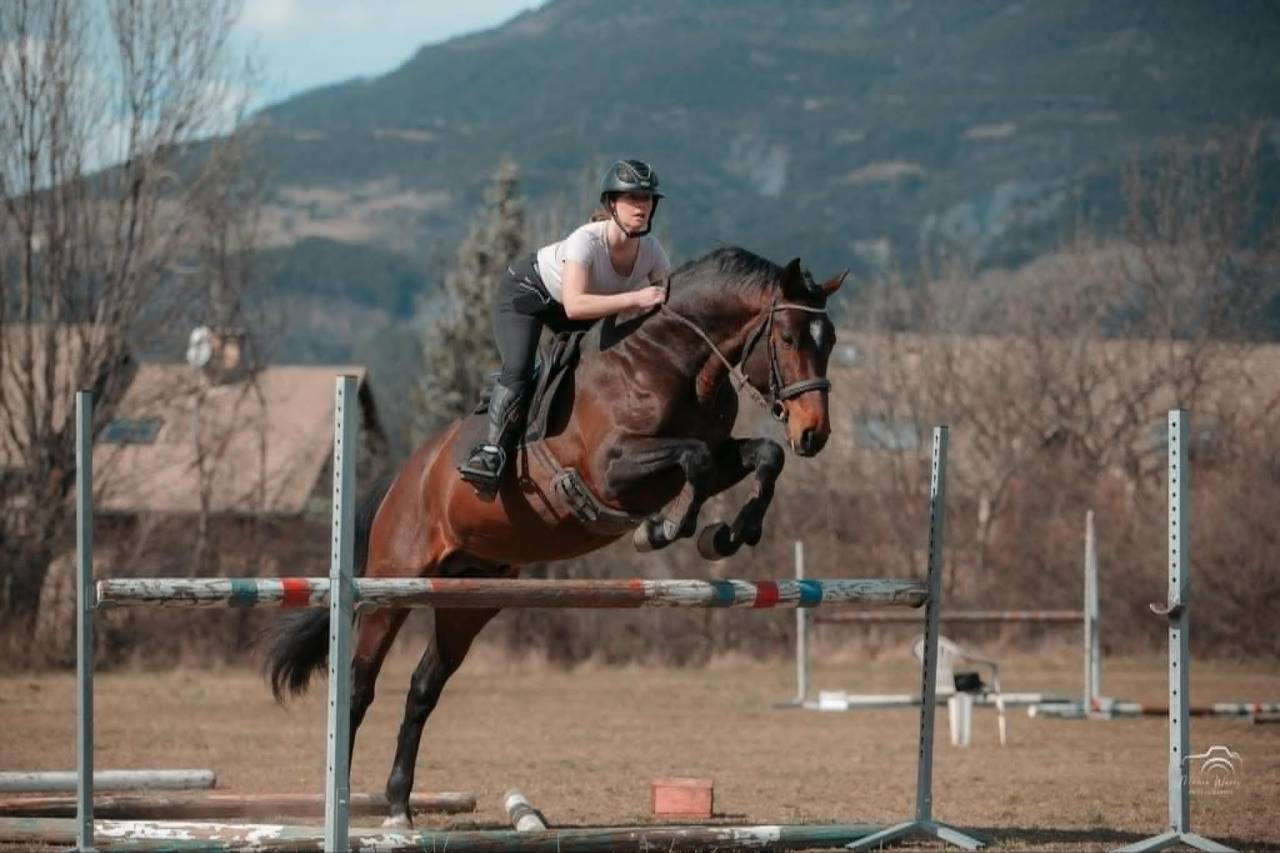 Entier - OC - 6 ans - CCE /CSO - France