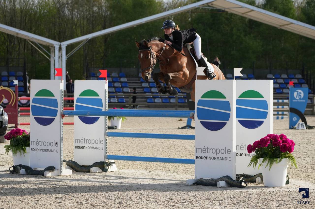 A vendre cheval 120/125