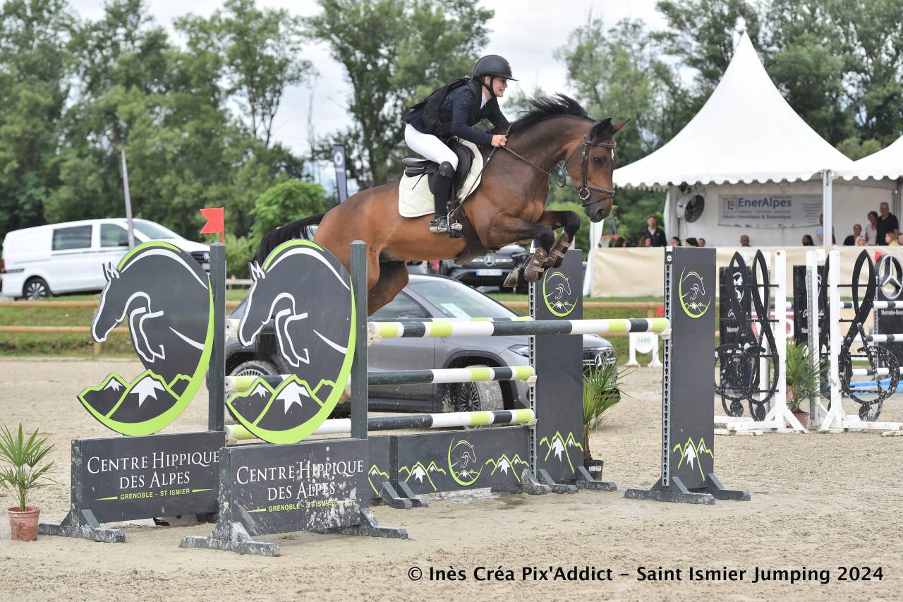 &Agrave; vendre Hongre 10 ans Cso