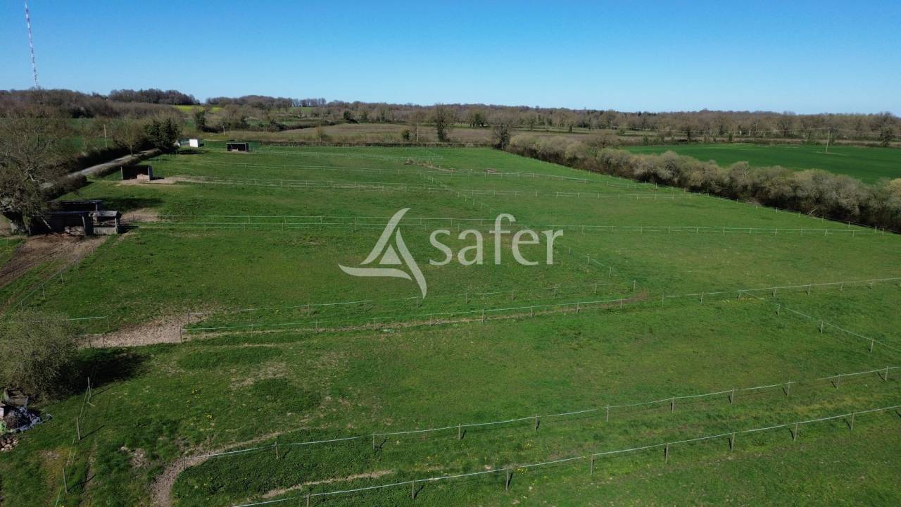 Propri&eacute;t&eacute; &eacute;questre sur environ 8 ha