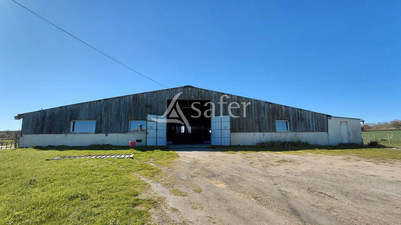 Propri&eacute;t&eacute; &eacute;questre sur environ 8 ha