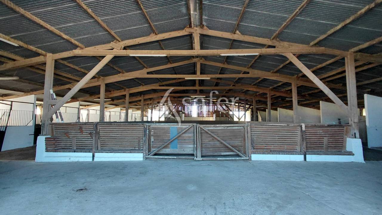 Propri&eacute;t&eacute; &eacute;questre sur environ 8 ha