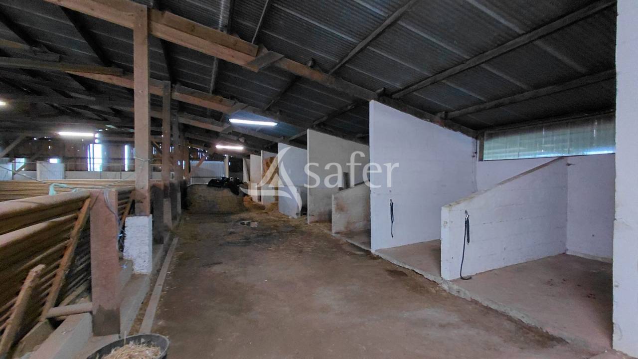 Propri&eacute;t&eacute; &eacute;questre sur environ 8 ha