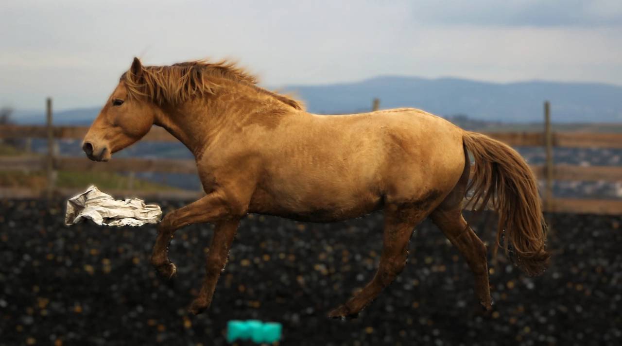 &Eacute;talon PRE double pearl