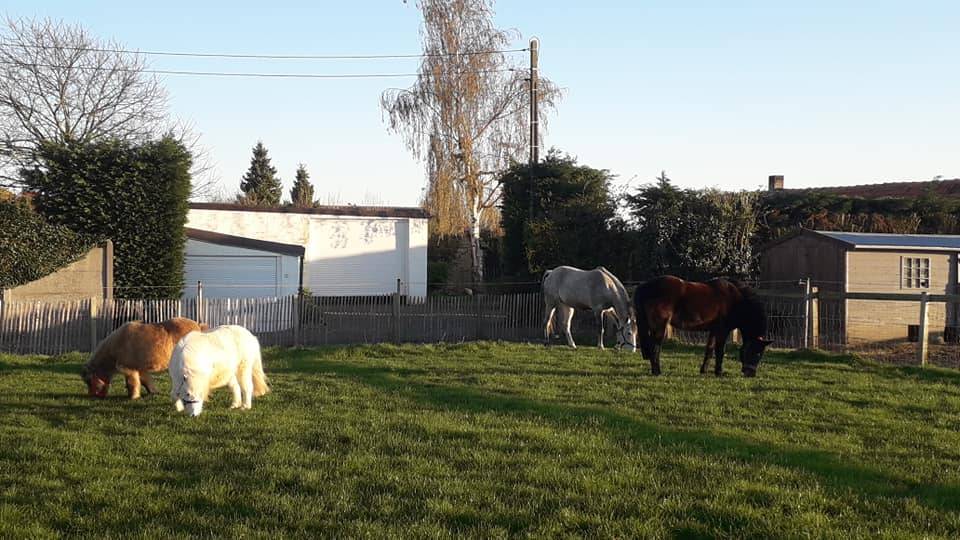 Pension &agrave; la ferme