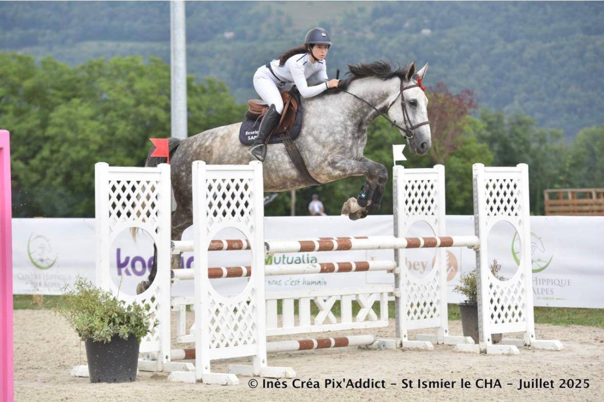 TOP JUMENT 9ANS TOURNE SUR 115-120CM