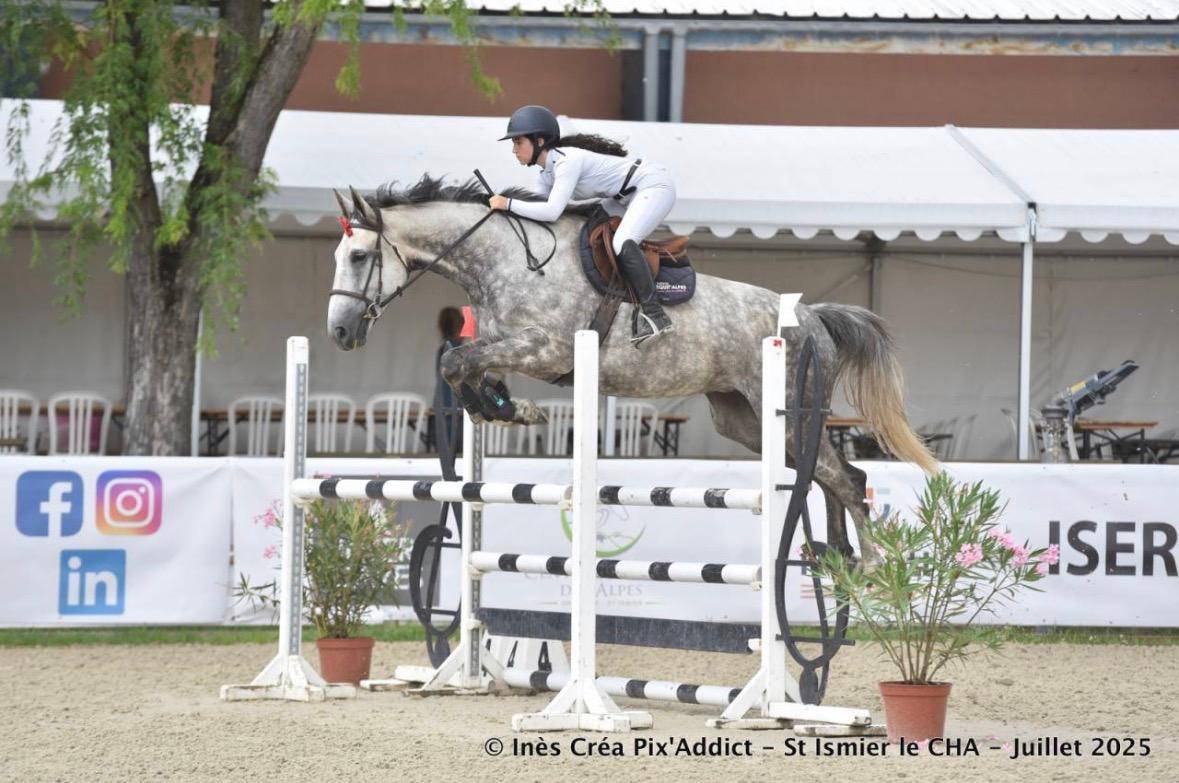 TOP JUMENT 9ANS TOURNE SUR 115-120CM