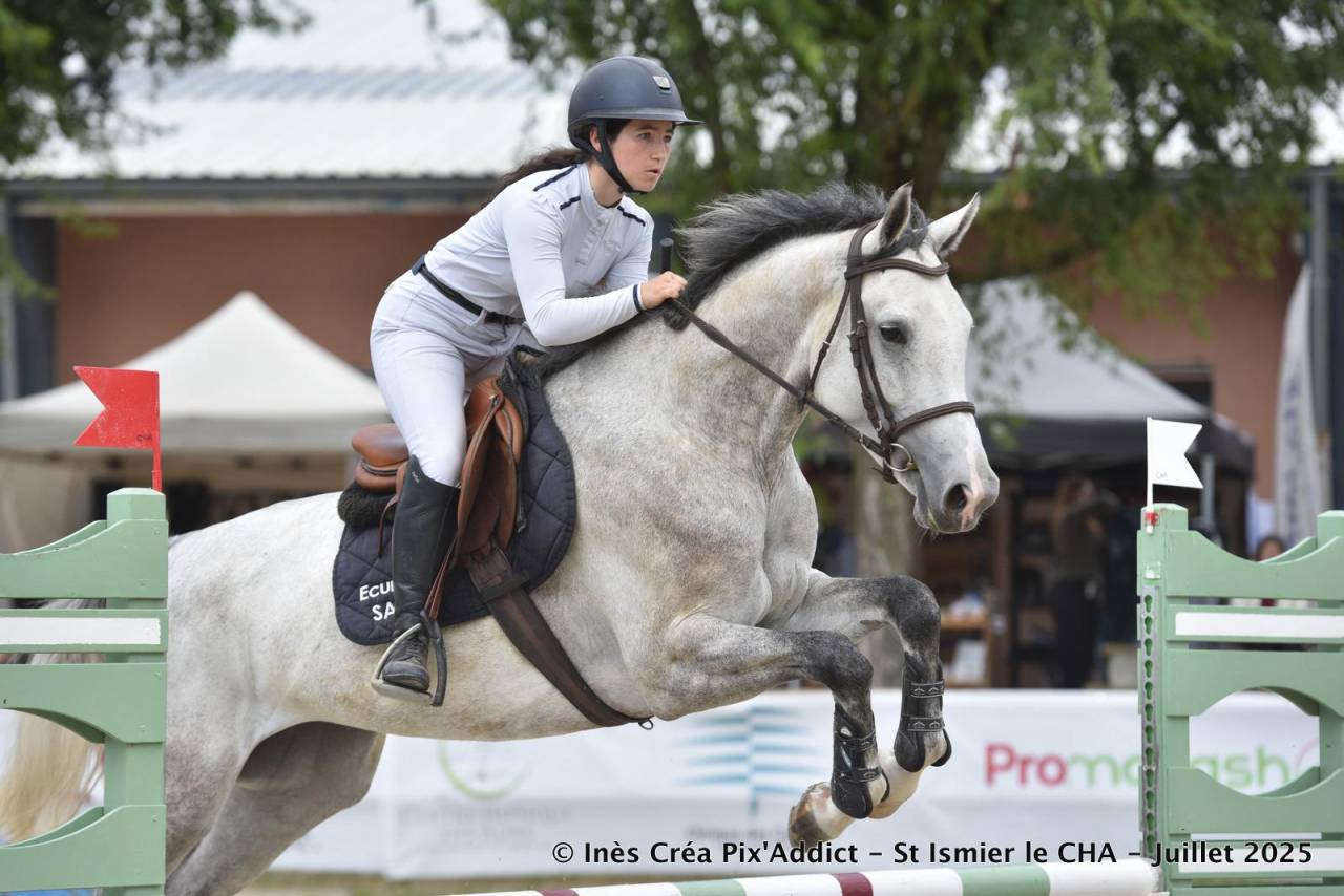 JUMENT 6ANS TOURNE SUR 110-115CM