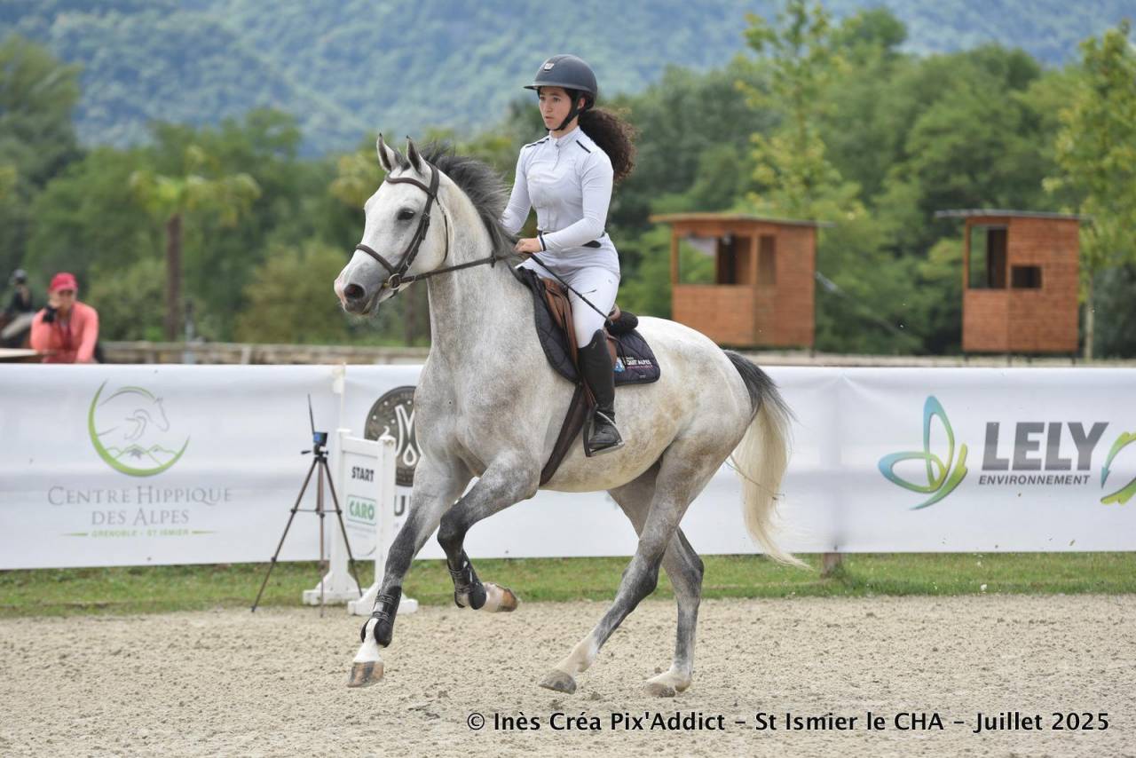 JUMENT 6ANS TOURNE SUR 110-115CM