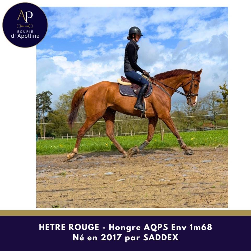 Magnifique AQPS env 1m68