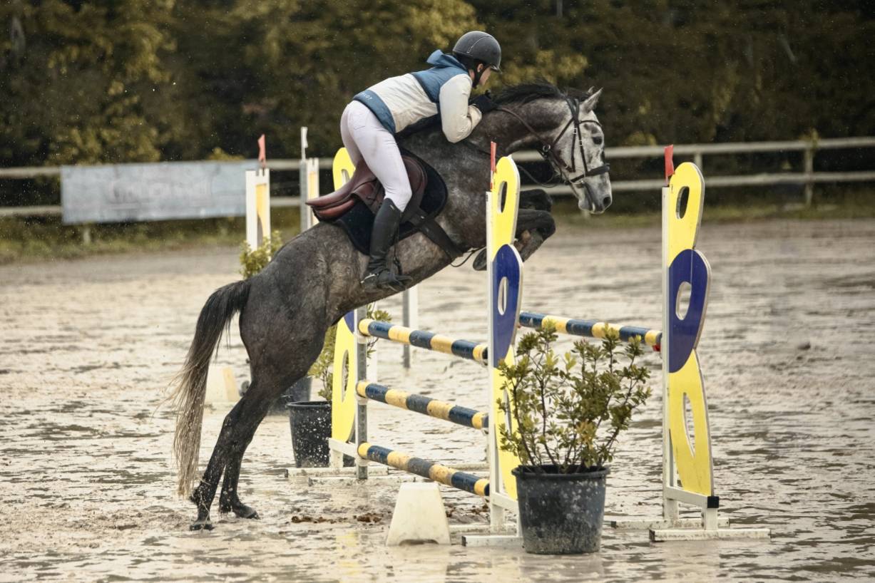 A vendre, ou location, ou pension