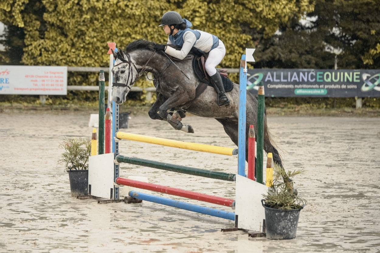 A vendre, ou location, ou pension