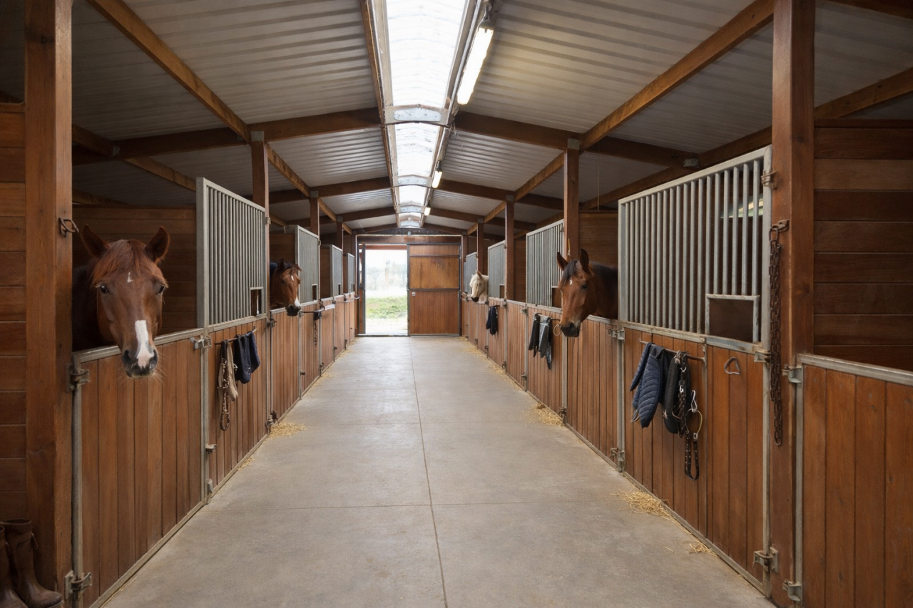 Propri&eacute;t&eacute; &eacute;questre avec &eacute;curie, man&egrave;ge et 13ha