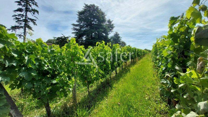 Deux maisons de CHARME - proche SAINT EMILION