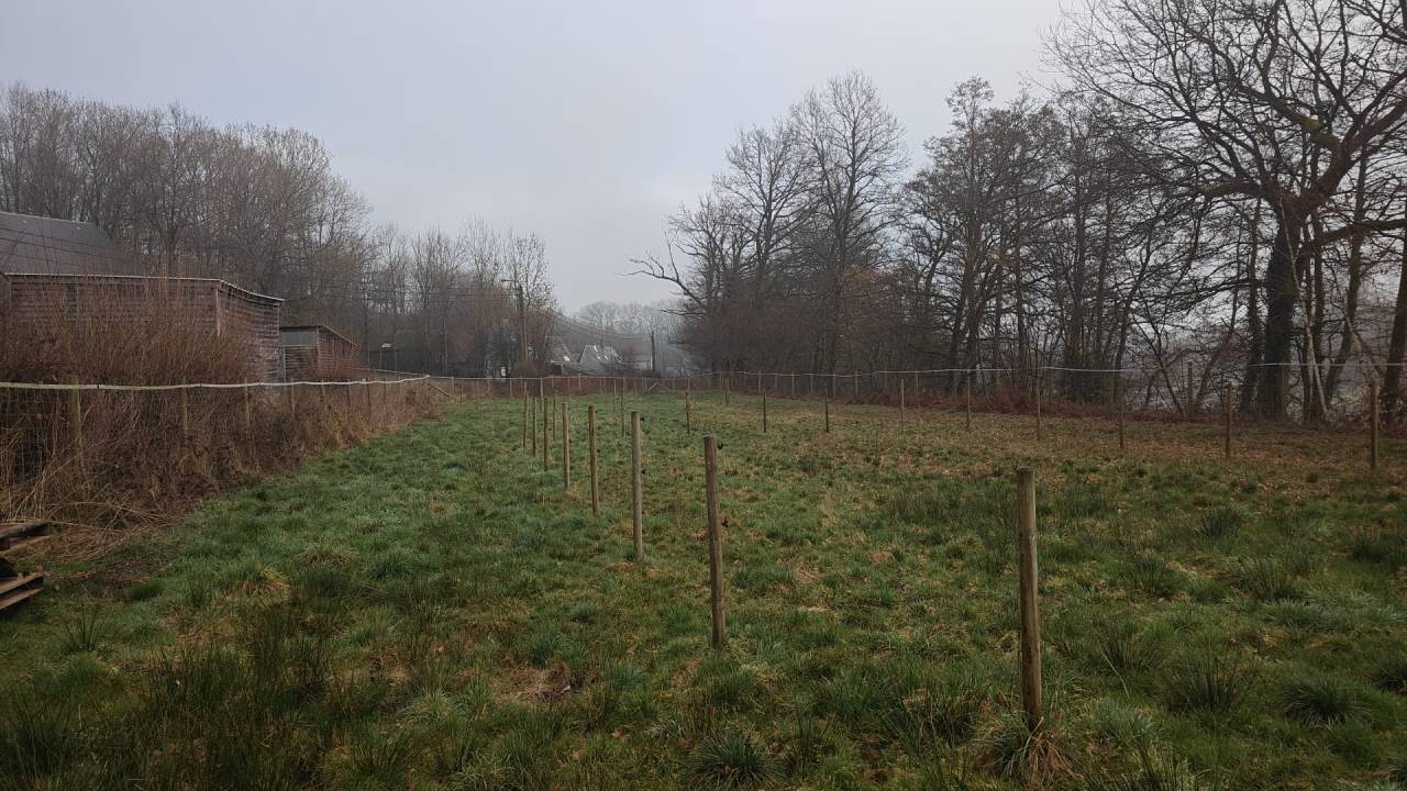 Boxes + prairie &agrave; louer