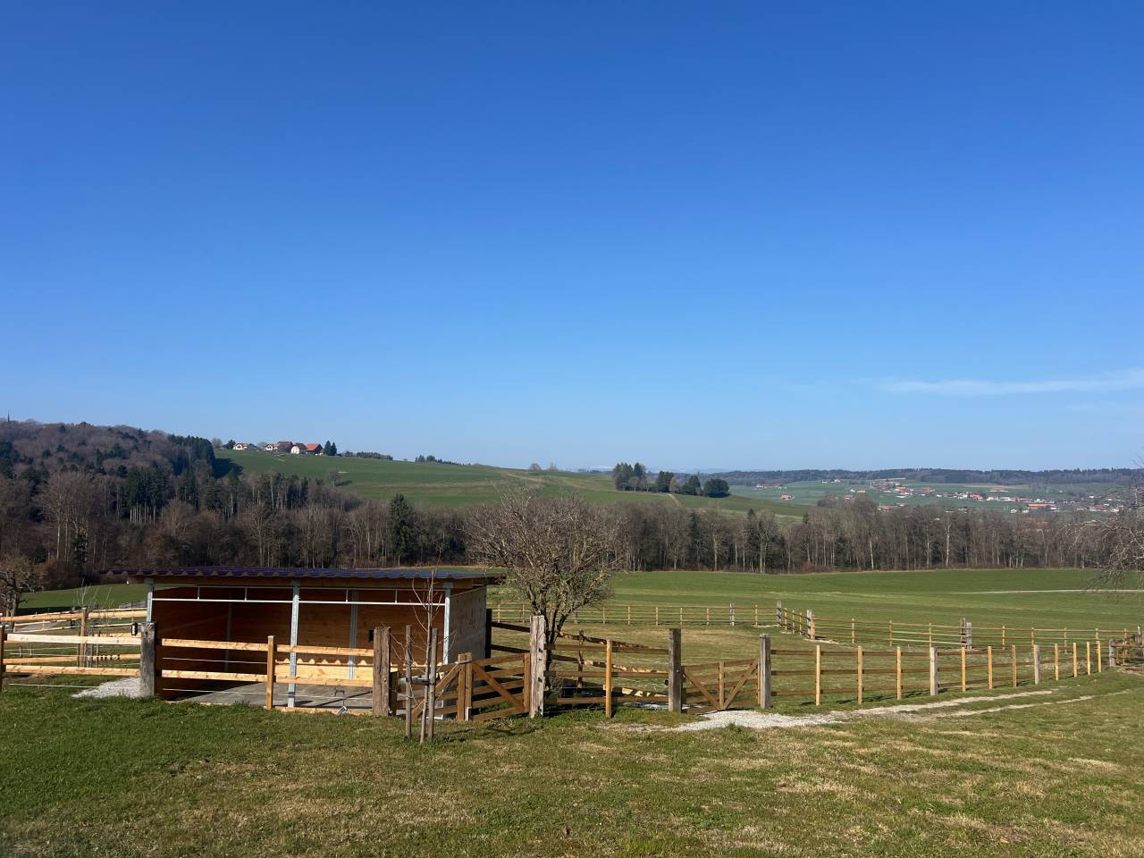 Ferme &eacute;questre a louer