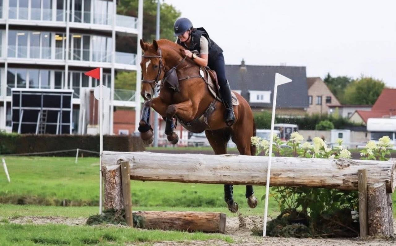 Cheval &agrave; vendre CCE